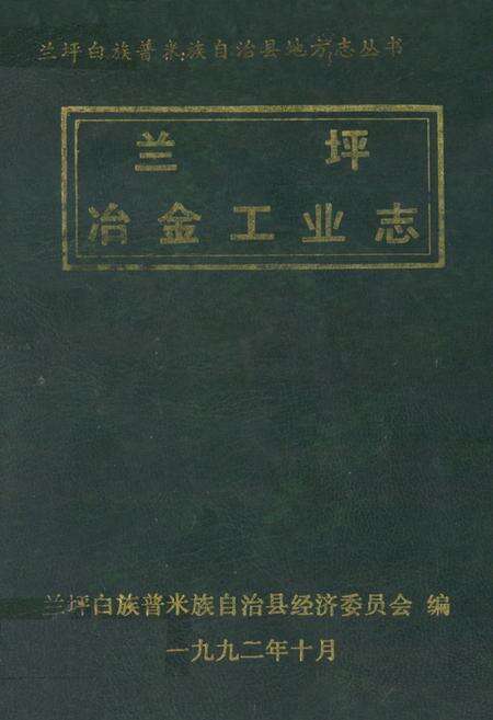 《兰坪冶金工业志》.pdf_云南省志缩略图