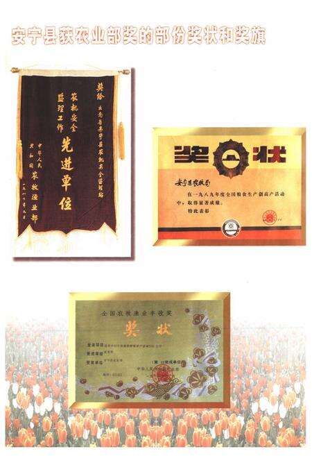 《安宁县农业志》.pdf_云南省志预览图4