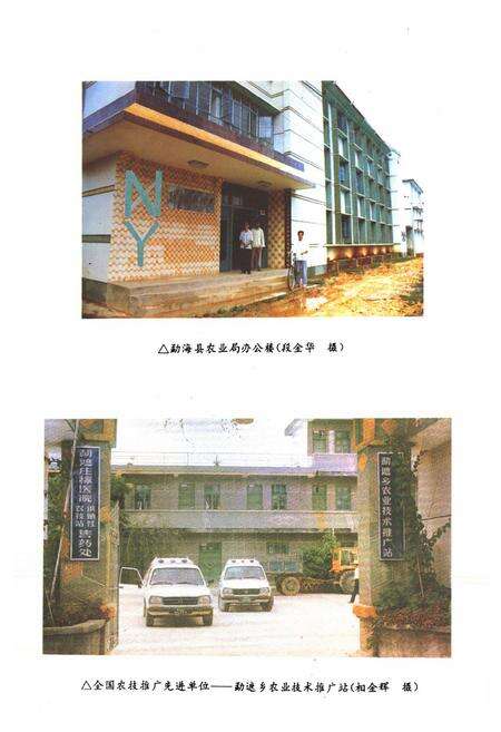 《勐海县农业志》.pdf_云南省志预览图3