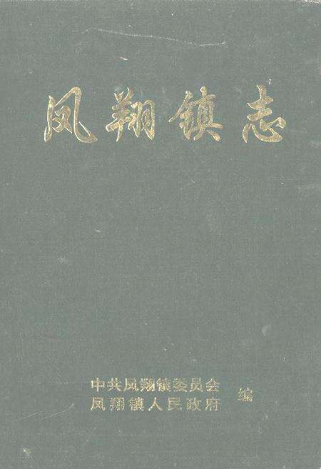 《凤翔镇志》.pdf_云南省志缩略图