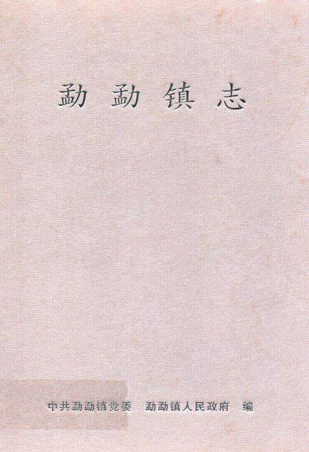 《勐勐镇志》.pdf_云南省志缩略图
