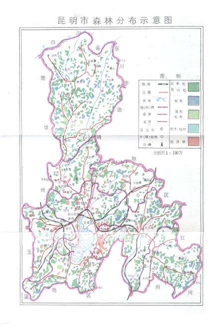《昆明市林业志》.pdf_云南省志预览图3