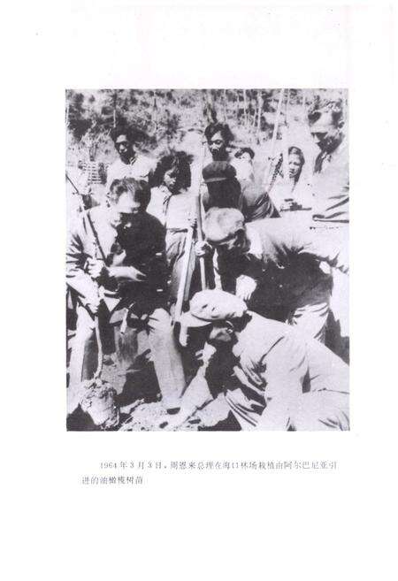 《昆明市林业志》.pdf_云南省志预览图4