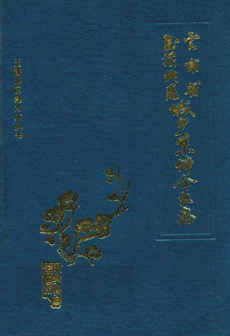 《玉溪地区城乡集体企业志》.pdf_云南省志缩略图