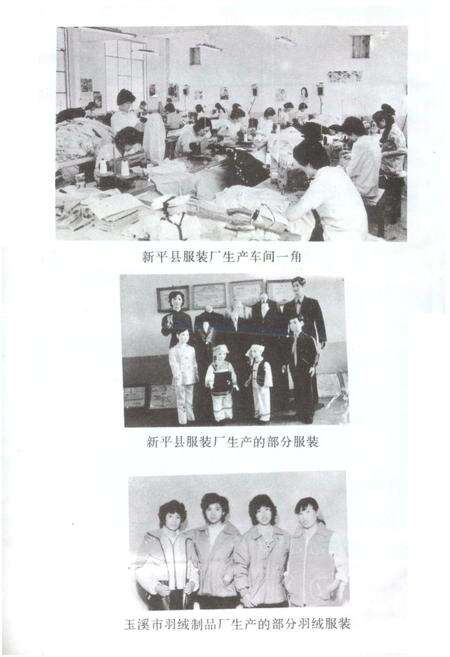 《玉溪地区城乡集体企业志》.pdf_云南省志预览图5