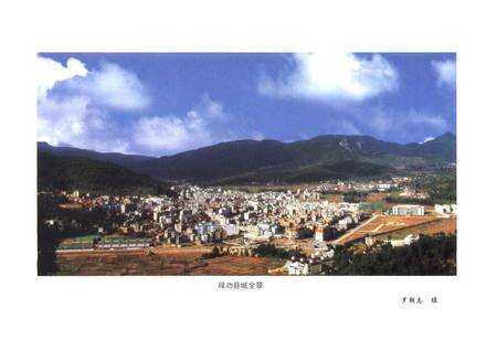 《禄劝政协志》.pdf_云南省志预览图5