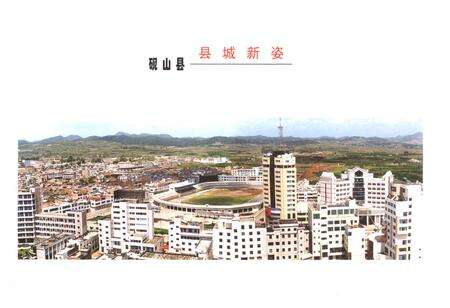 《砚山县政协志》.pdf_云南省志预览图5