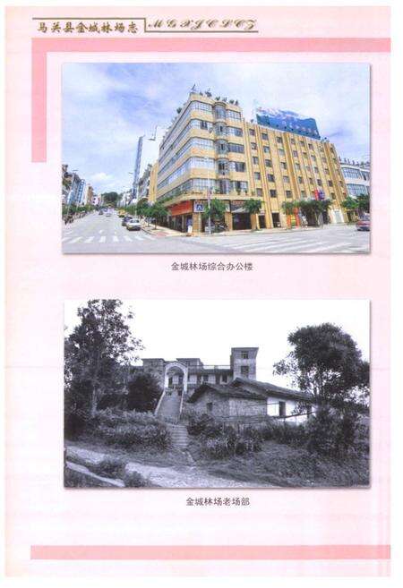 《马关县金志林场志》.pdf_云南省志预览图3