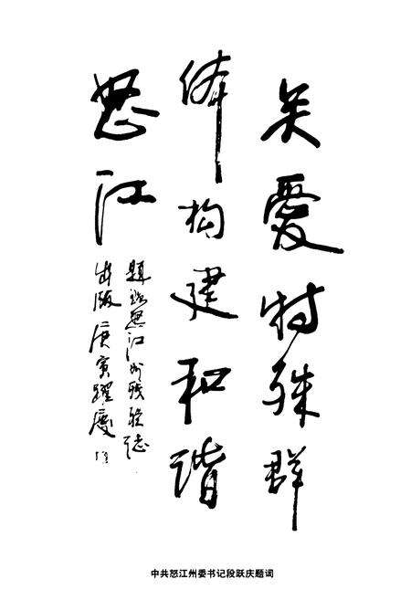 《怒江州残联志》.pdf_云南省志预览图4