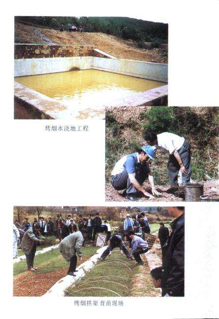 《禄劝彝族苗族自治县烟草志》.pdf_云南省志预览图3