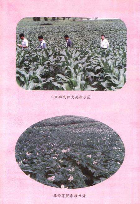 《禄劝彝族苗族自治县农业志》.pdf_云南省志预览图5