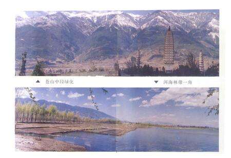 《大理市林业志》.pdf_云南省志预览图2