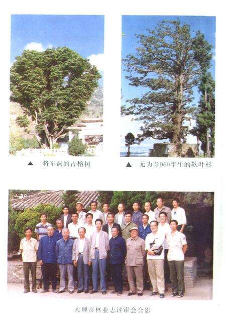 《大理市林业志》.pdf_云南省志预览图5