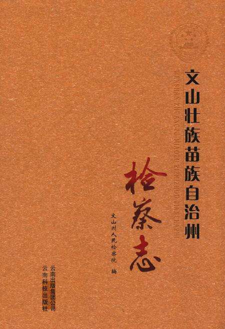 《《文山壮族苗族自治州检察志》》.pdf_云南省志缩略图