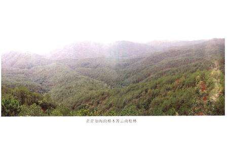 《《一平浪林场志》》.pdf_云南省志预览图2