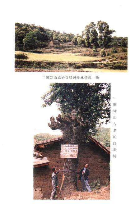 《《一平浪林场志》》.pdf_云南省志预览图3