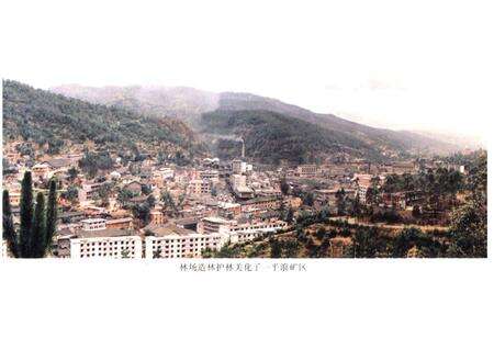 《《一平浪林场志》》.pdf_云南省志预览图4