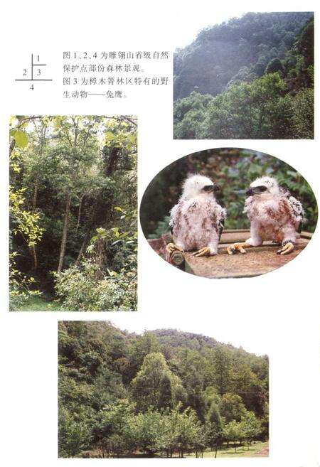 《《一平浪林场志》》.pdf_云南省志预览图5