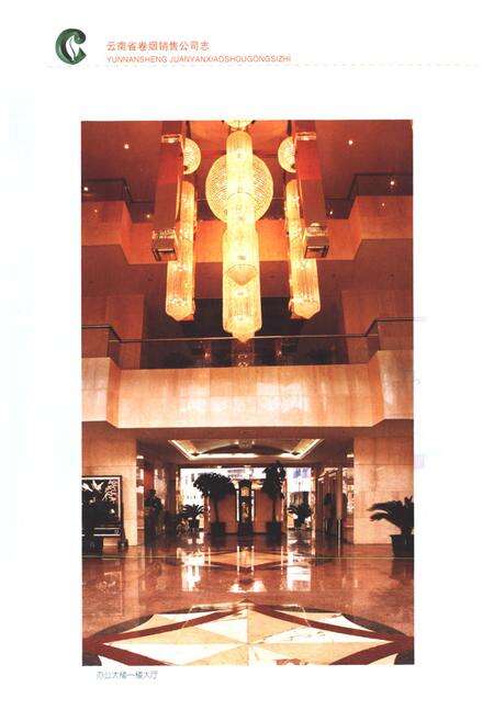 《《云南省卷烟销售公司志(1982~2006)》》.pdf_云南省志预览图5