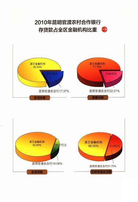 《《昆明官渡农村合作银行志(1953-2010)》》.pdf_云南省志预览图5