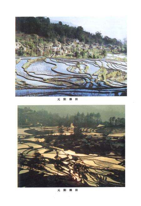 《元阳县土地志》.pdf_云南省志预览图5