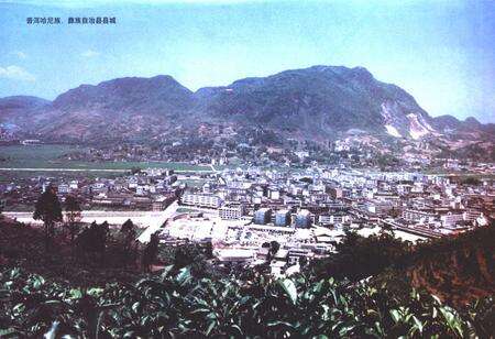 《《普洱哈尼族彝族自治县土地志》》.pdf_云南省志预览图2