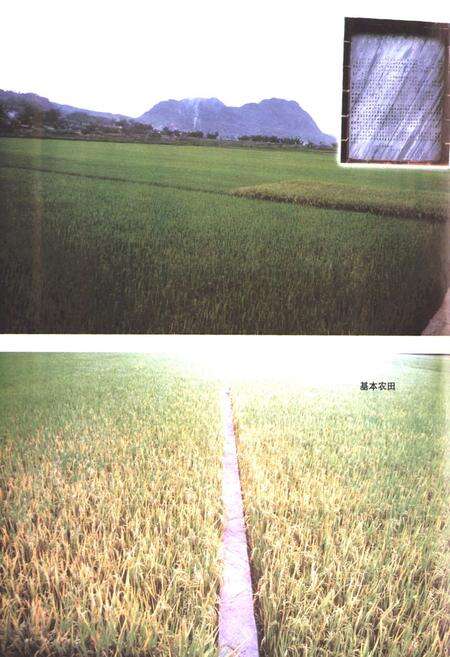 《《普洱哈尼族彝族自治县土地志》》.pdf_云南省志预览图3