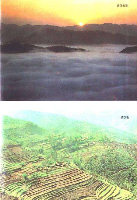 《《普洱哈尼族彝族自治县土地志》》.pdf_云南省志预览图4