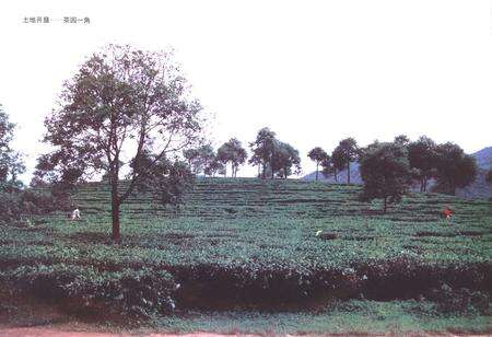 《《普洱哈尼族彝族自治县土地志》》.pdf_云南省志预览图5