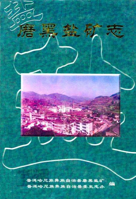 《《磨黑盐矿志》》.pdf_云南省志缩略图