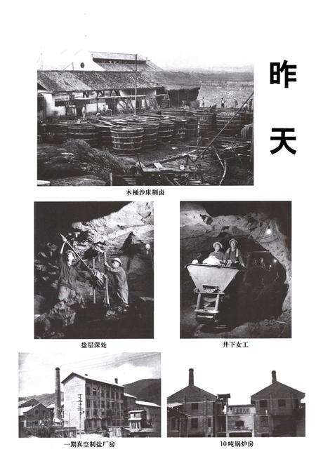 《《磨黑盐矿志》》.pdf_云南省志预览图5