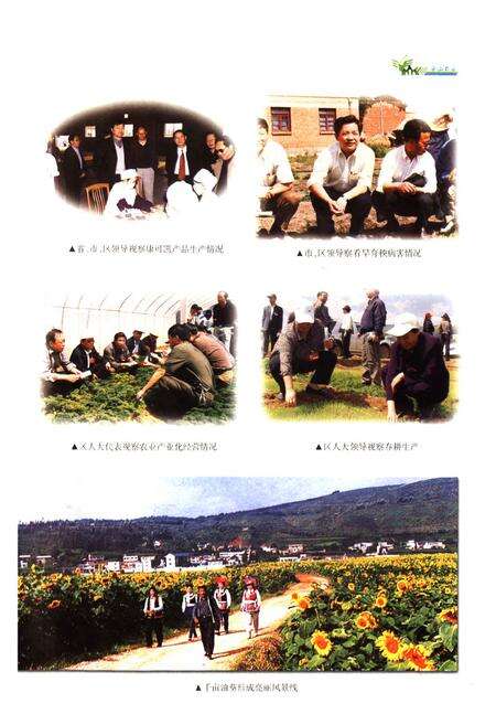 《西山区农业志(1990-2003)》.pdf_云南省志预览图4