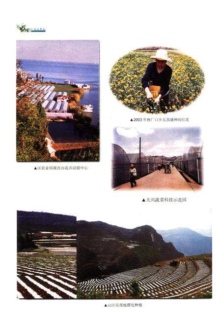 《西山区农业志(1990-2003)》.pdf_云南省志预览图5