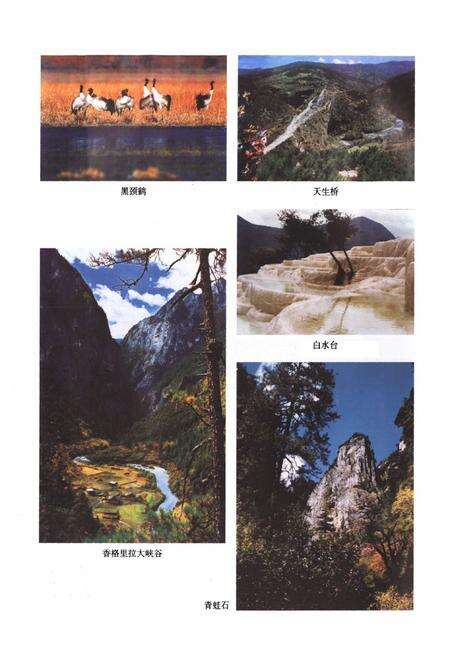 《香格里拉县交通运输志》.pdf_云南省志预览图5