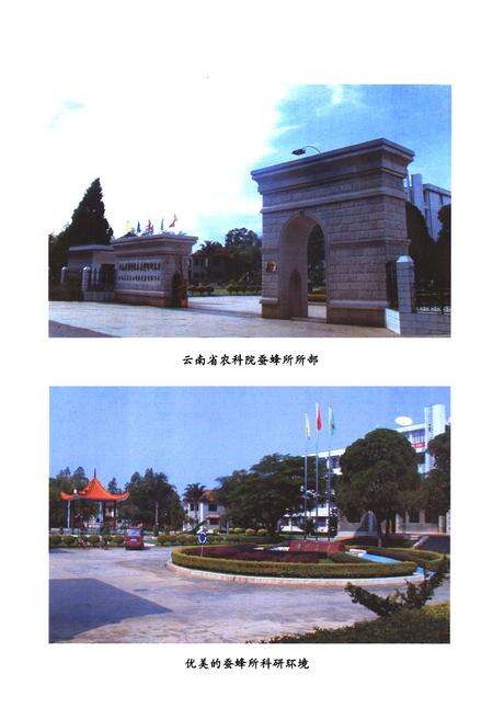 《《蚕蜂所志》》.pdf_云南省志预览图4