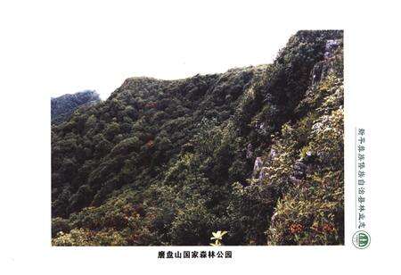 《《新平彝族傣族自治县林业志》》.pdf_云南省志预览图4