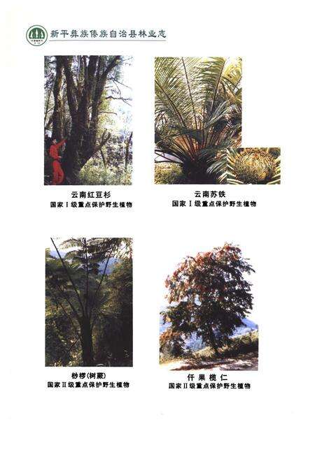 《《新平彝族傣族自治县林业志》》.pdf_云南省志预览图5