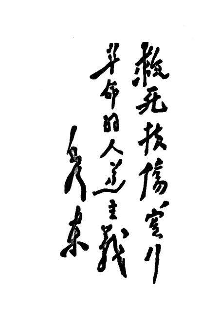 《《嵩明县卫生志(1950-2010)》》.pdf_云南省志预览图3