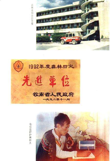 《宁蒗彝族自治县林业志》.pdf_云南省志预览图3