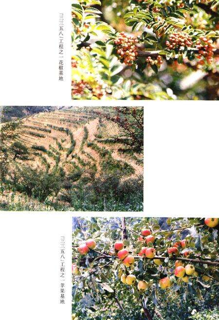 《宁蒗彝族自治县林业志》.pdf_云南省志预览图4