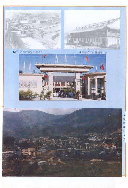 《凤庆茶厂志(1939-1996)》.pdf_云南省志预览图5