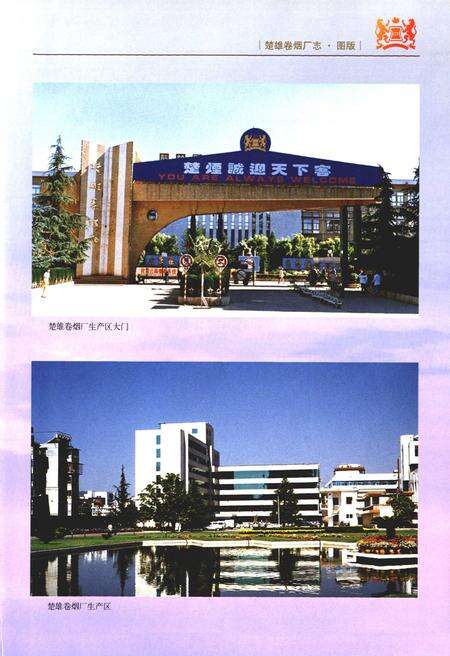 《《楚雄卷烟厂志》》.pdf_云南省志预览图3