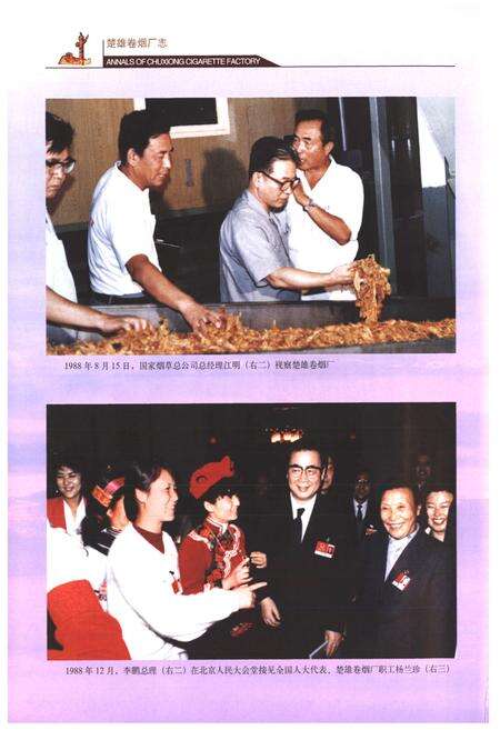 《《楚雄卷烟厂志》》.pdf_云南省志预览图4