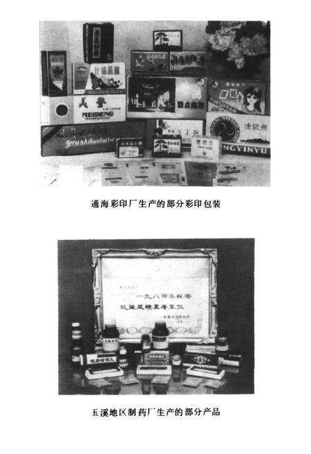 《玉溪地区国营工业志》.pdf_云南省志预览图5