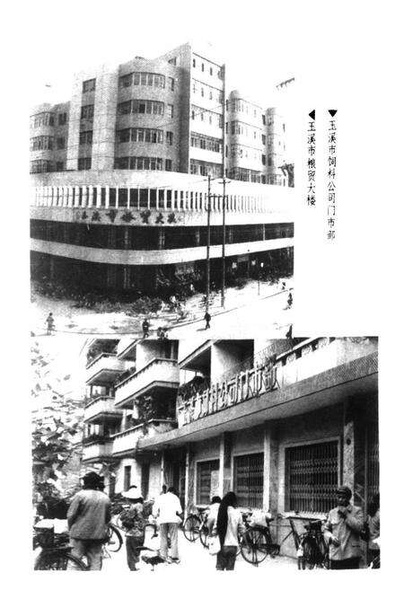 《玉溪地区粮油志》.pdf_云南省志预览图3