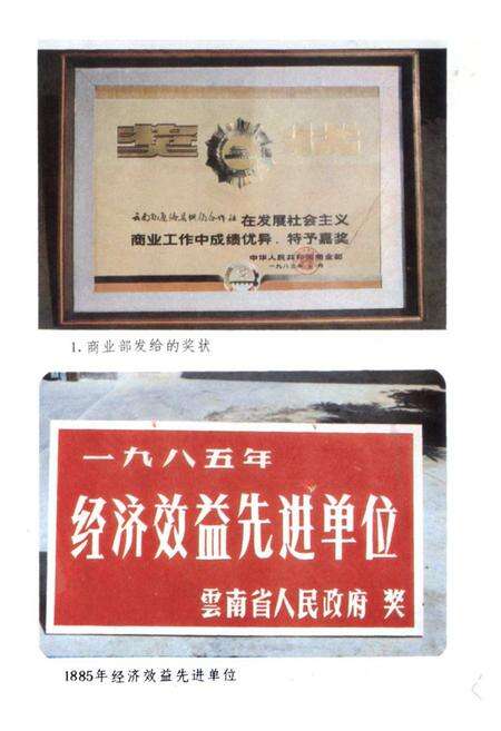 《通海县供销合作社志》.pdf_云南省志预览图3