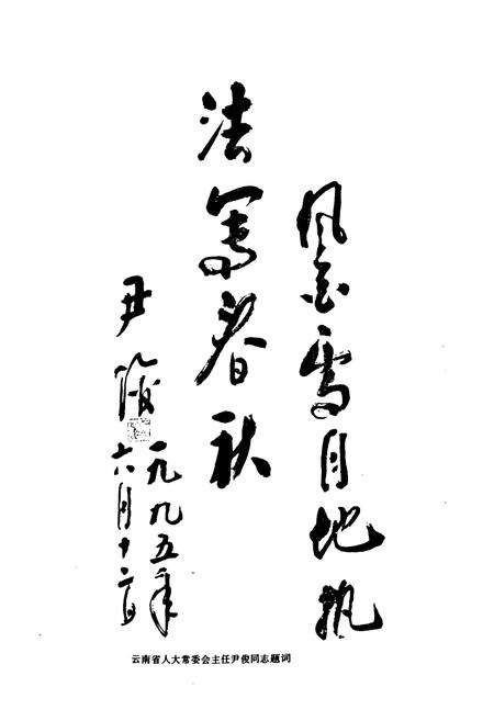 《《大理白族自治州检察志》》.pdf_云南省志预览图3