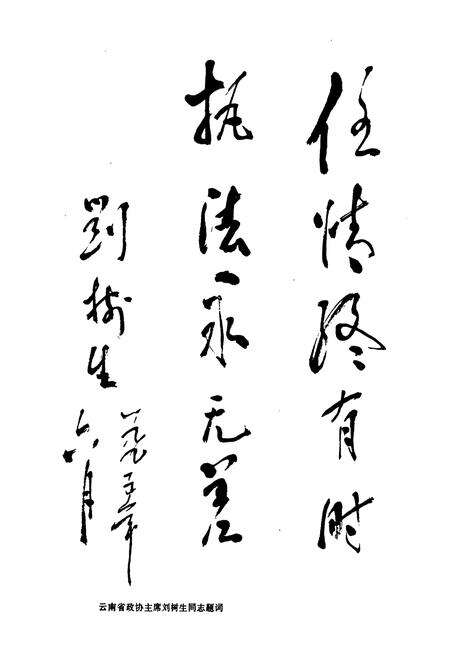 《《大理白族自治州检察志》》.pdf_云南省志预览图4