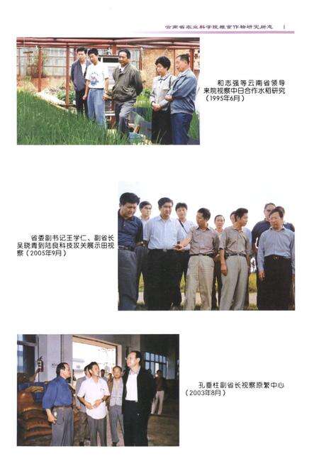 《《粮食作物研究所志(1979~2005)》》.pdf_云南省志预览图2