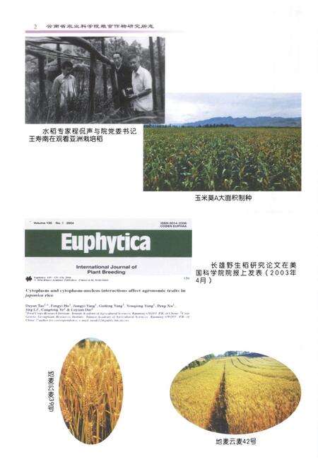 《《粮食作物研究所志(1979~2005)》》.pdf_云南省志预览图3